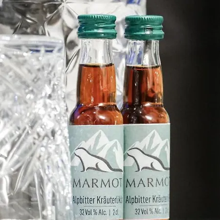 Alpchalet Bellevue 酒店