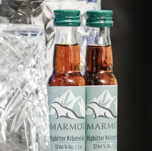 Alpchalet Bellevue Hotel